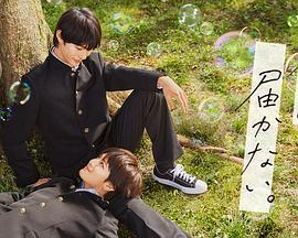 有关麻将的海报剧照